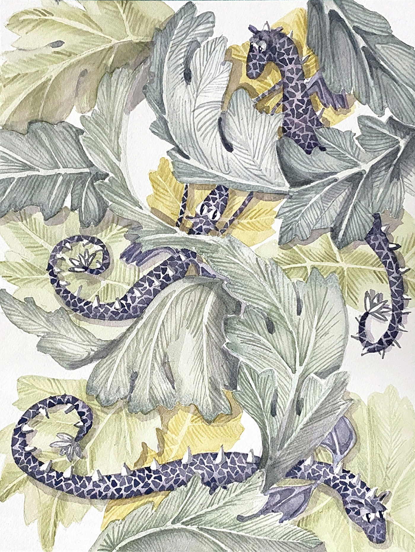 Acanthus Dragons