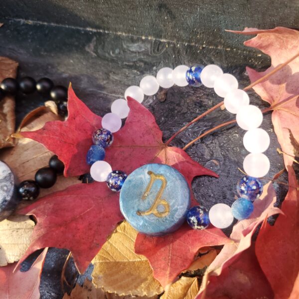 The Dark Galaxy Style of the Capricorn Zodiac Bracelet is displayed amongst fall leaves.