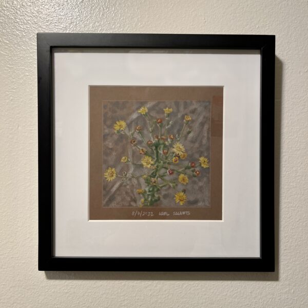 Goldenrod