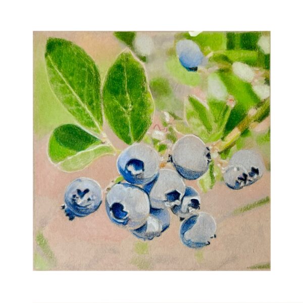 Blueberries