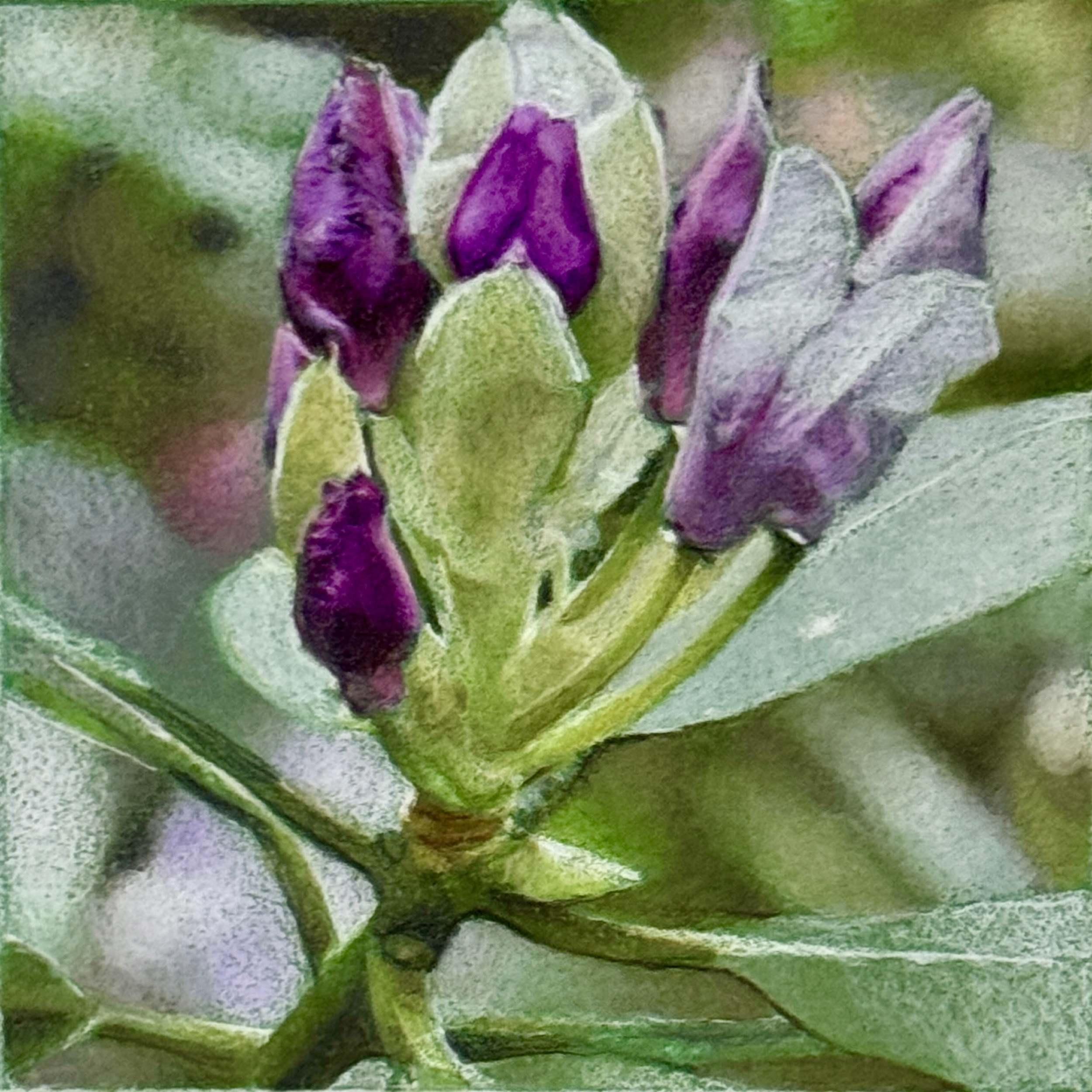 Indicator